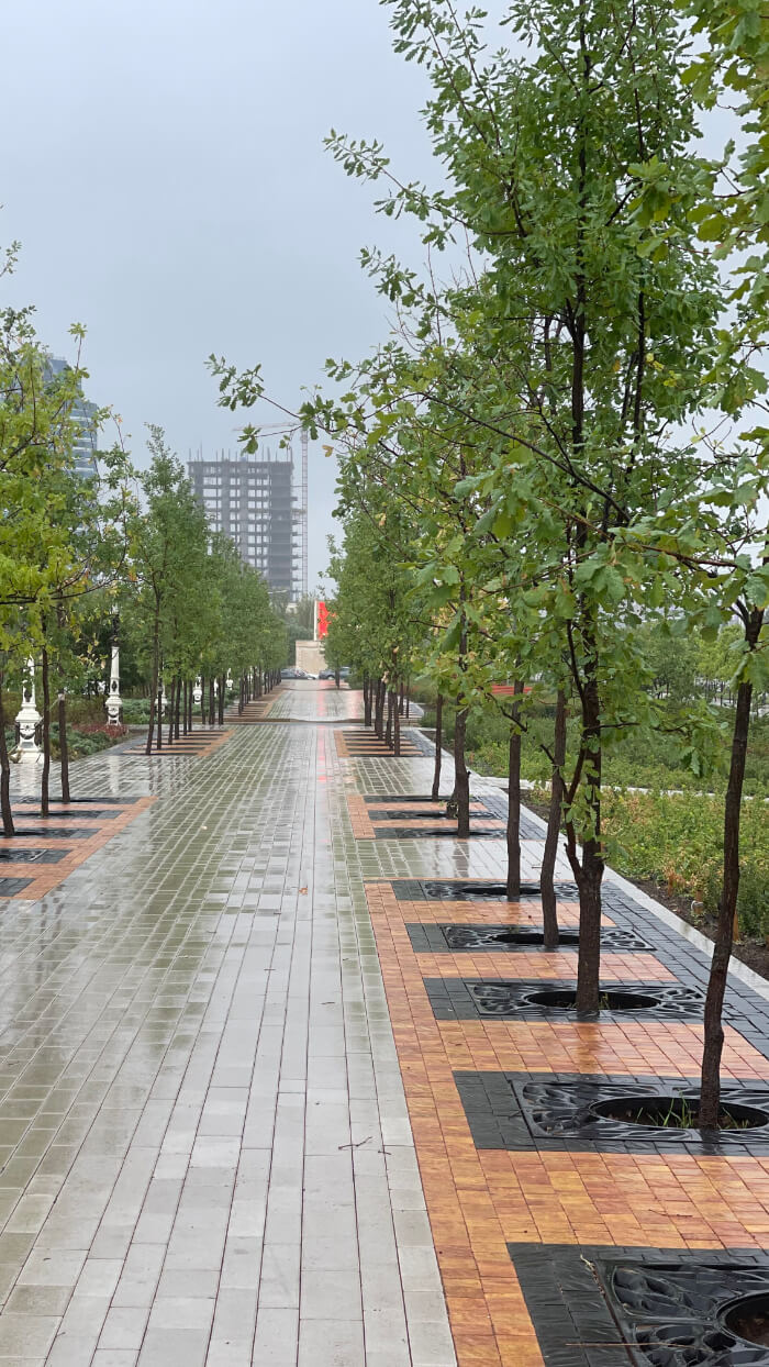 Приствольная решетка для дерева ZKING CRUST 1.2х1.2м Черная в Донецке фото