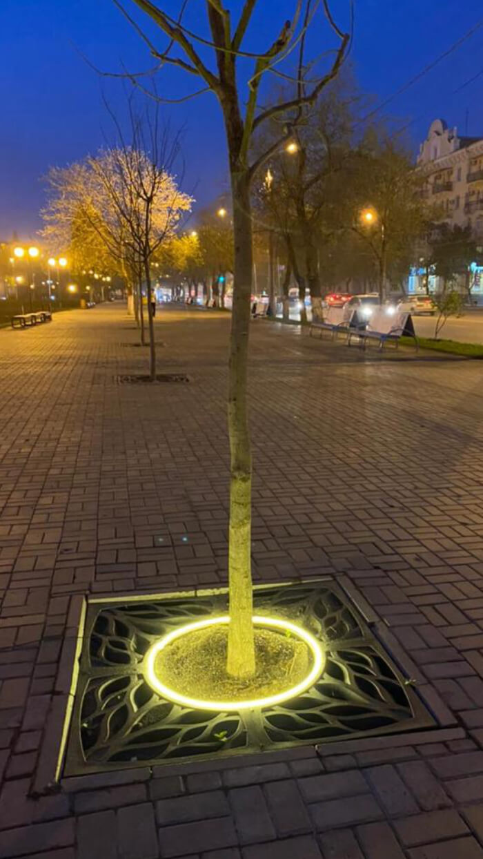 Приствольная решетка для дерева ZKING CRUST 1.2х1.2м Черная в Донецке фото